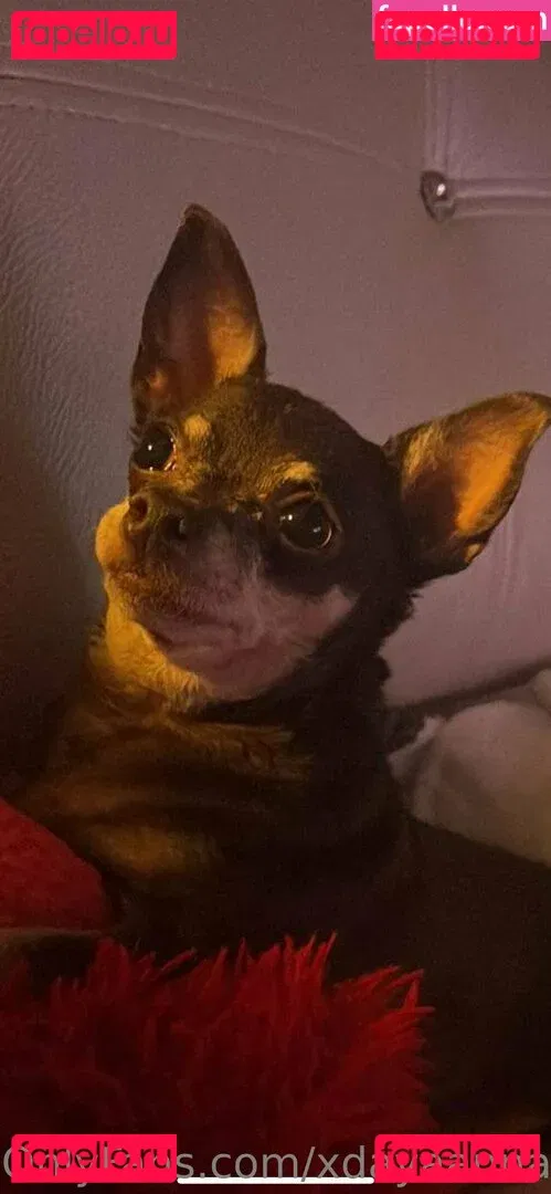 Xdayaannax Onlyfans Photo Gallery 