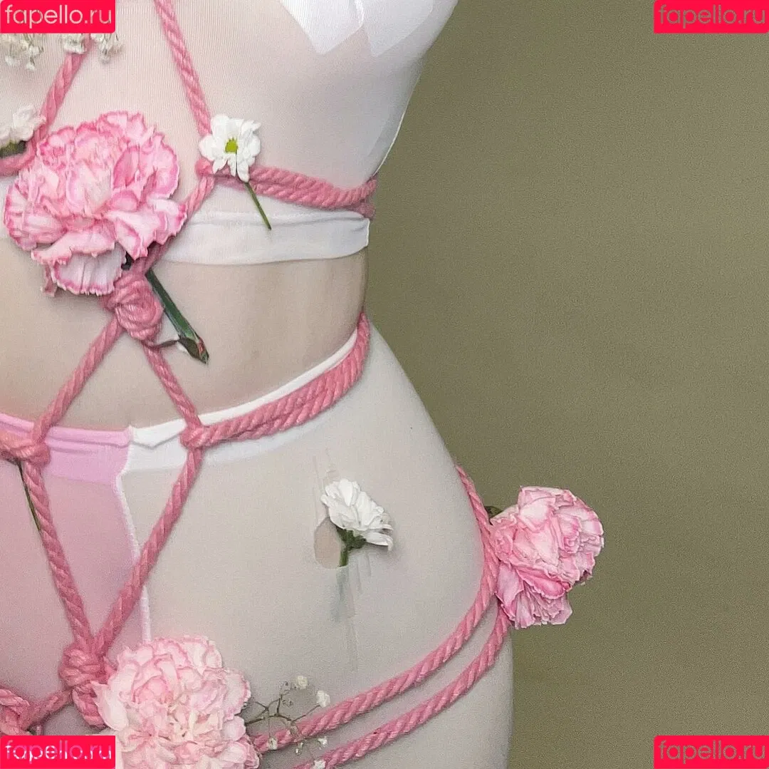 visagefox Onlyfans Photo Gallery 