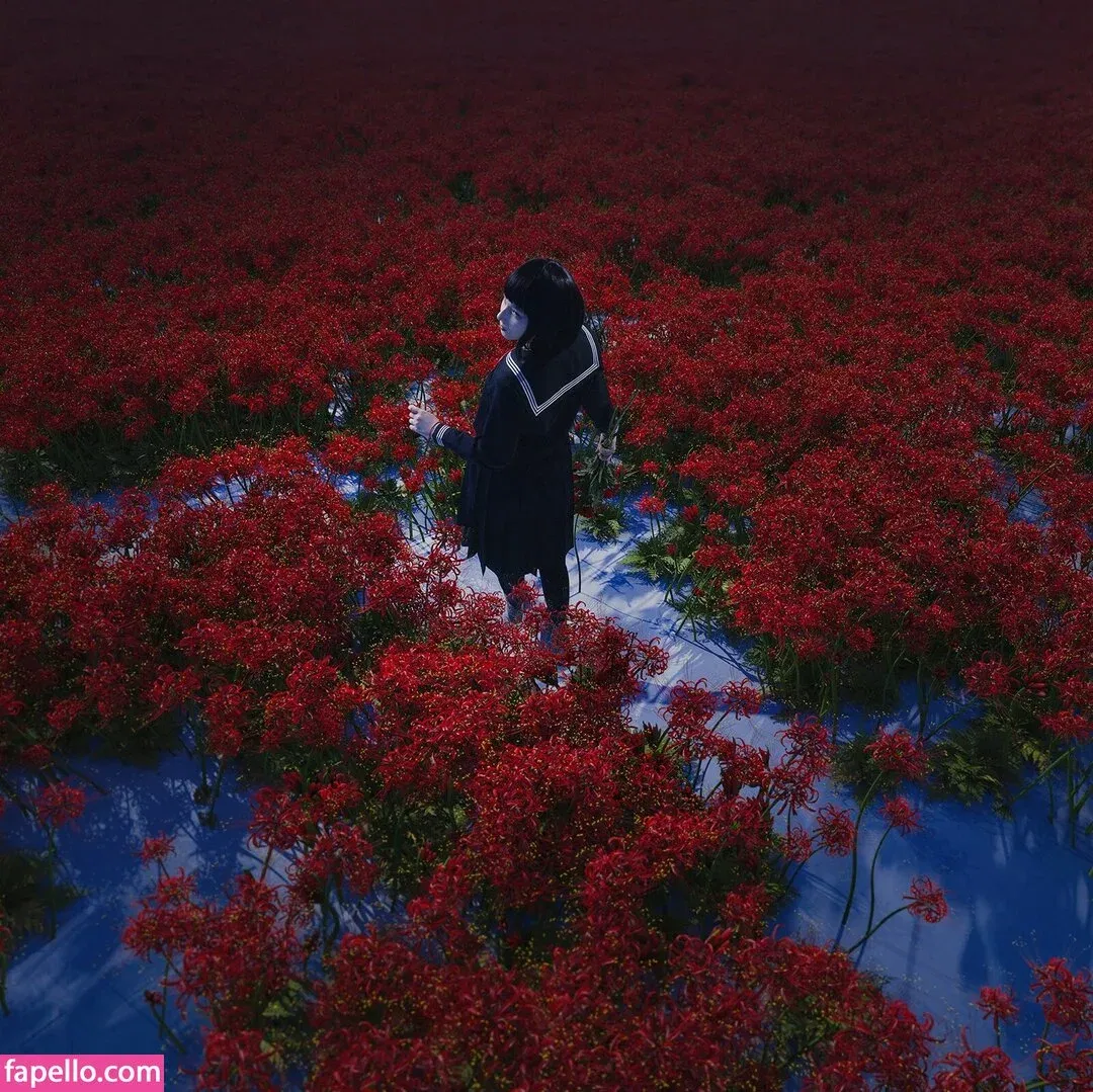 visagefox Onlyfans Photo Gallery 