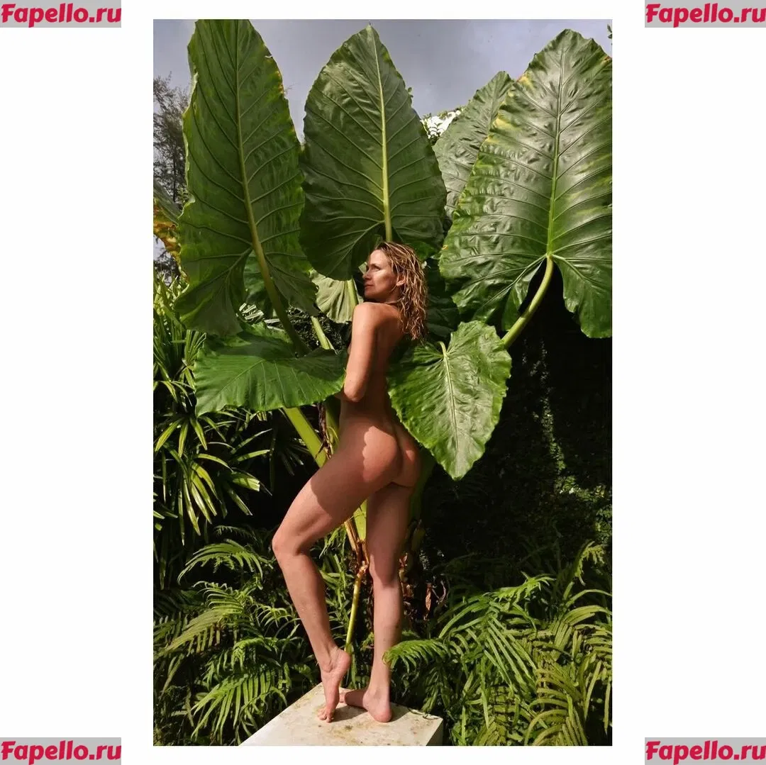 Shantel VanSanten Onlyfans Photo Gallery 
