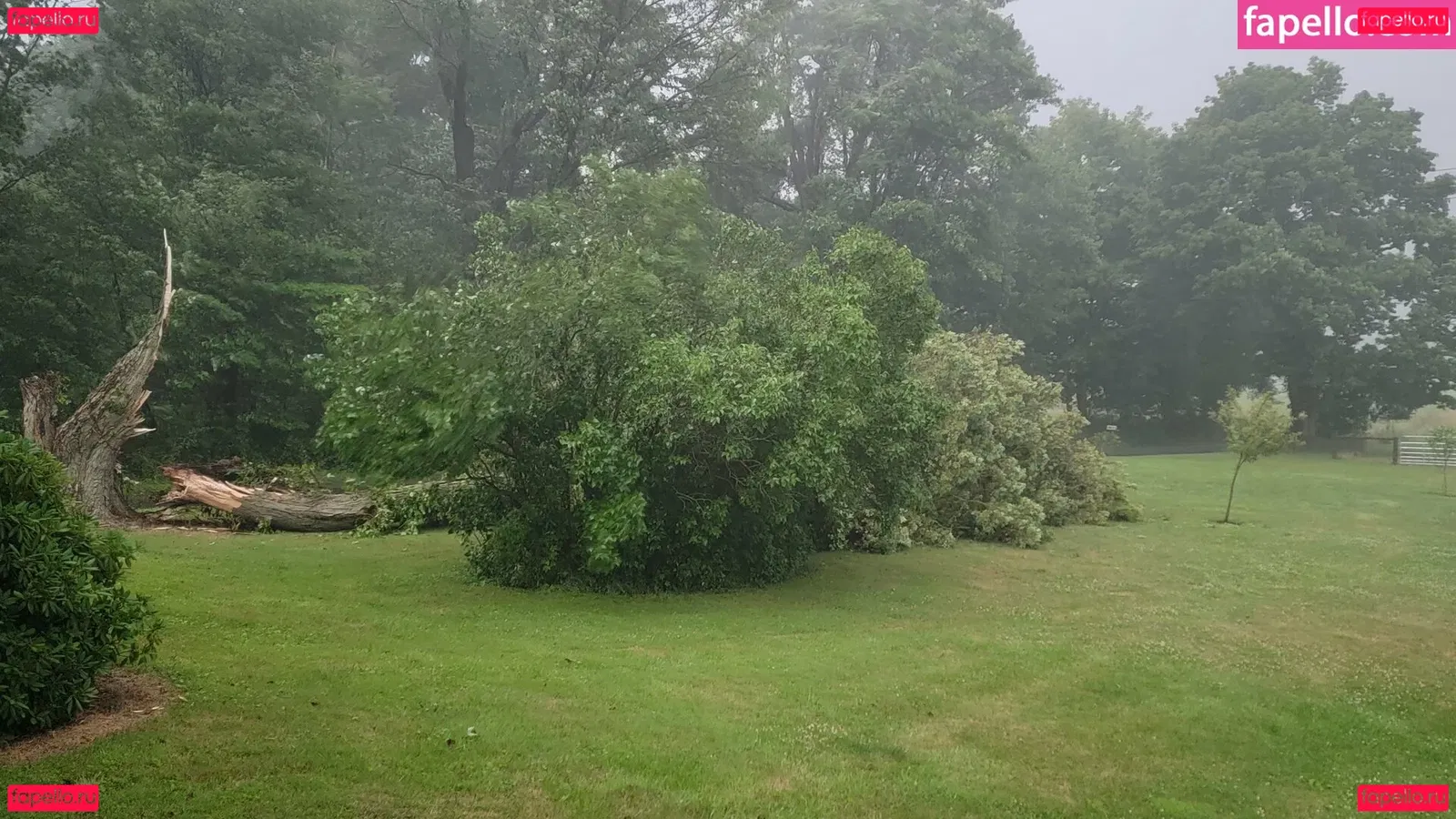 nellebeachgirl Onlyfans Photo Gallery 