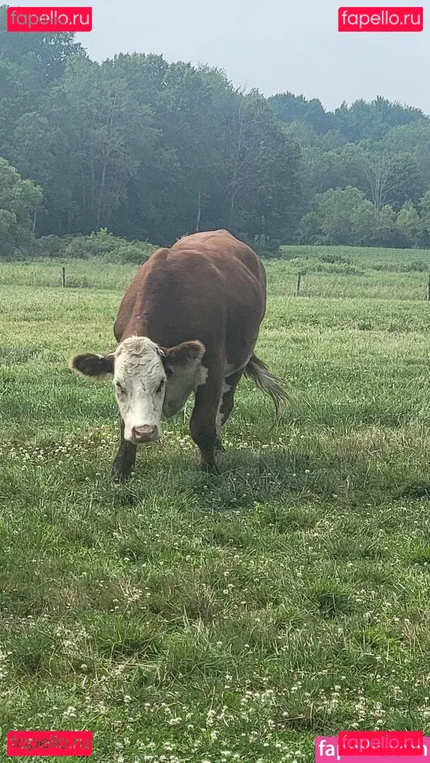 nellebeachgirl Onlyfans Photo Gallery 