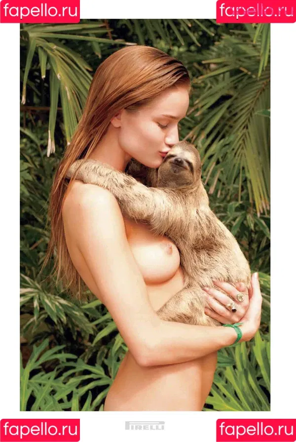 Terry Richardson Onlyfans Photo Gallery 