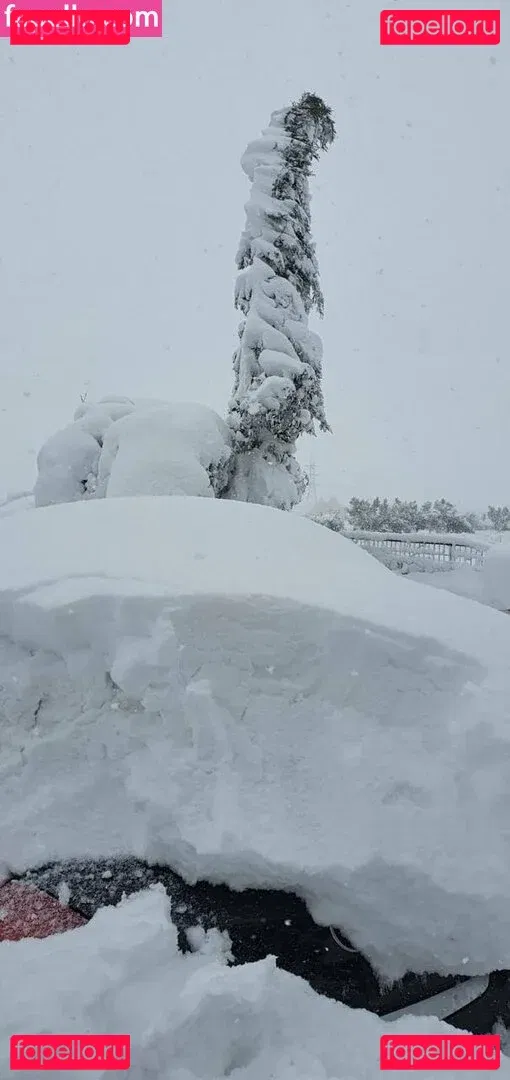 mistressalexandra Onlyfans Photo Gallery 