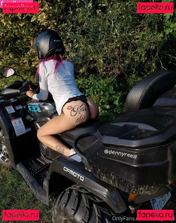 dennyreed Onlyfans Photo Gallery 