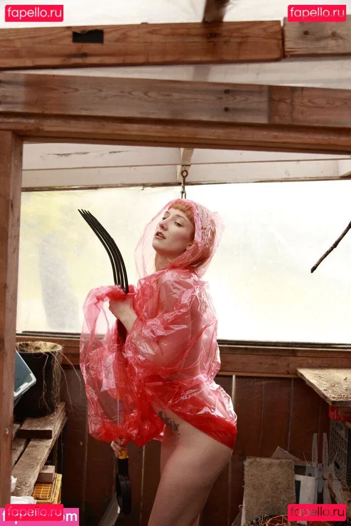 SDFoto Onlyfans Photo Gallery 