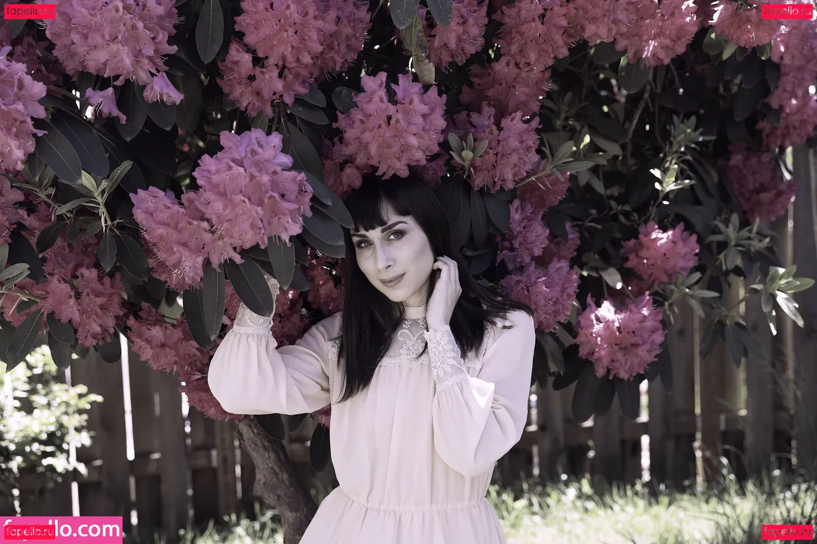 SDFoto Onlyfans Photo Gallery 