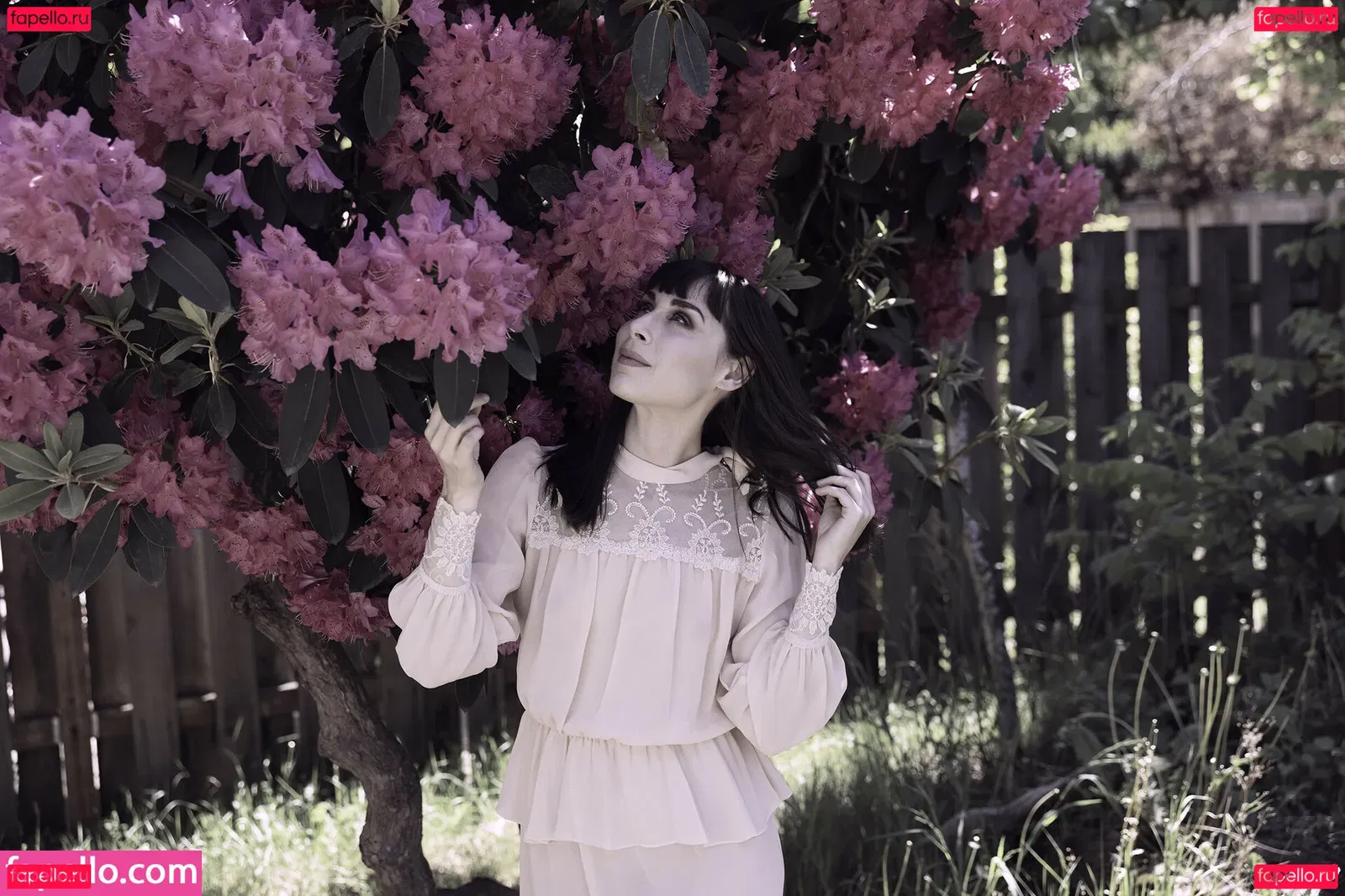 SDFoto Onlyfans Photo Gallery 