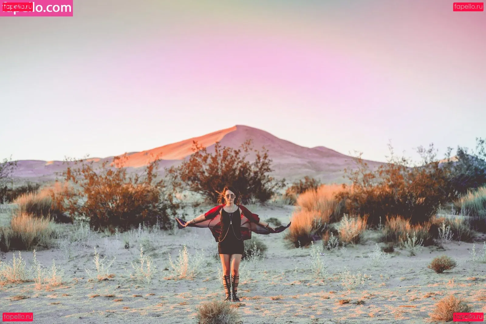 Sonja Reid Onlyfans Photo Gallery 