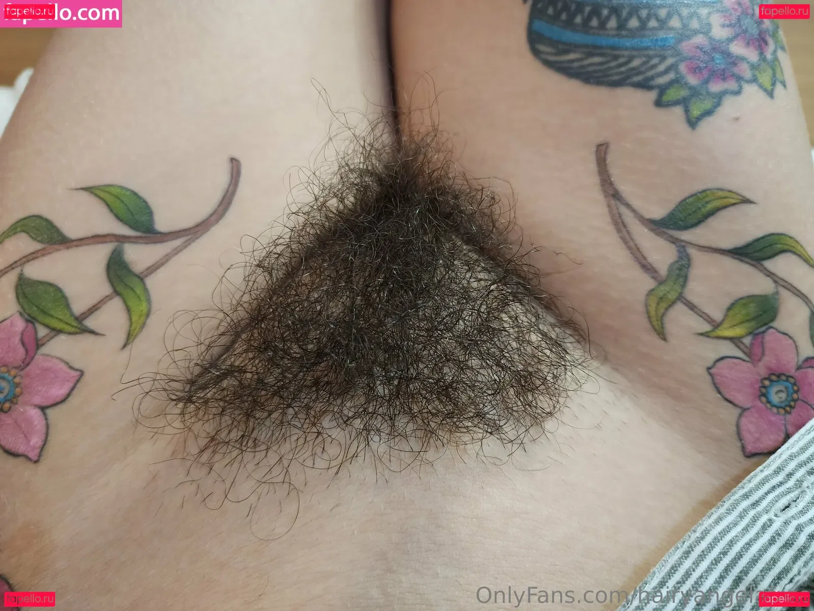 hairyangelafree Onlyfans Photo Gallery 