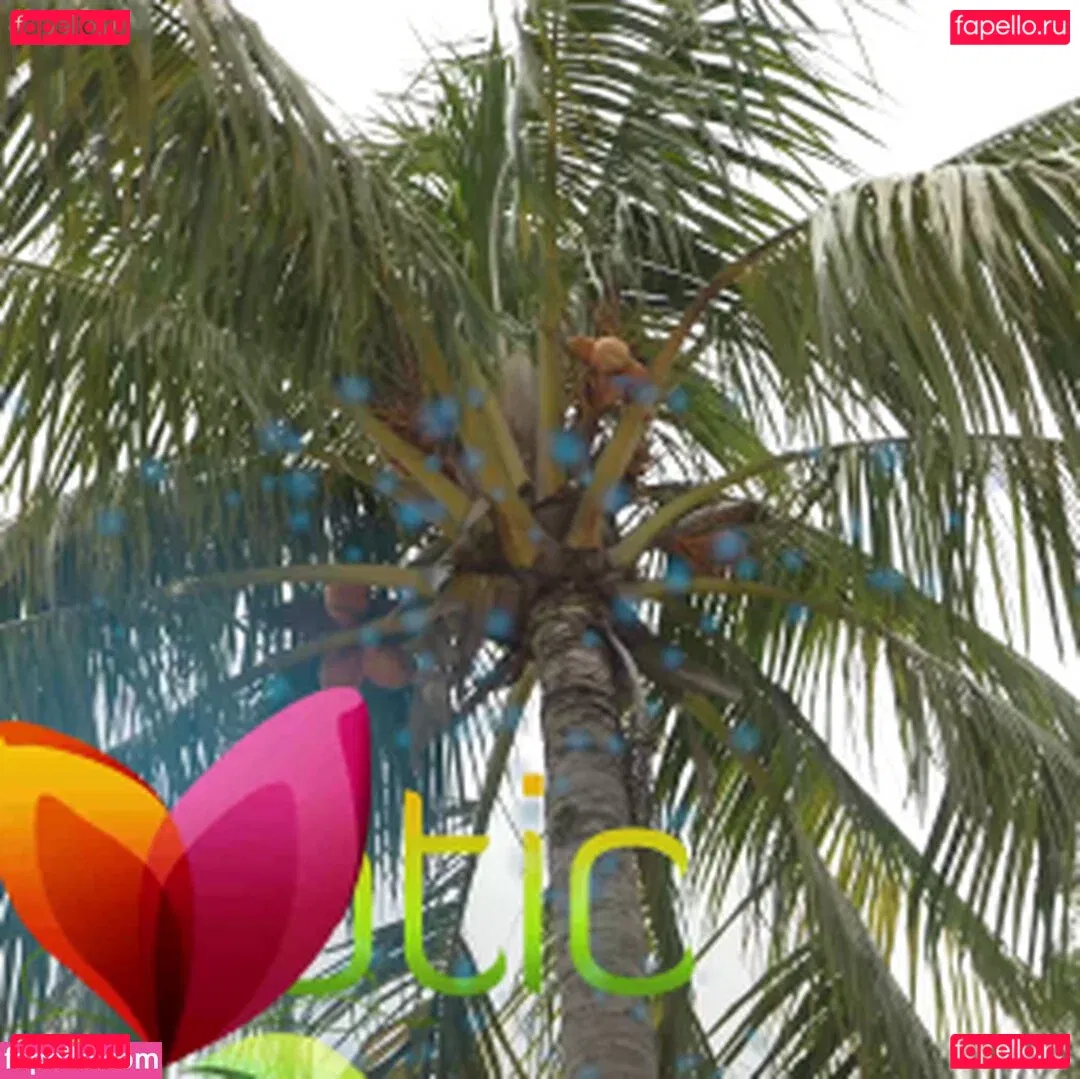 Kira Perez Onlyfans Photo Gallery 