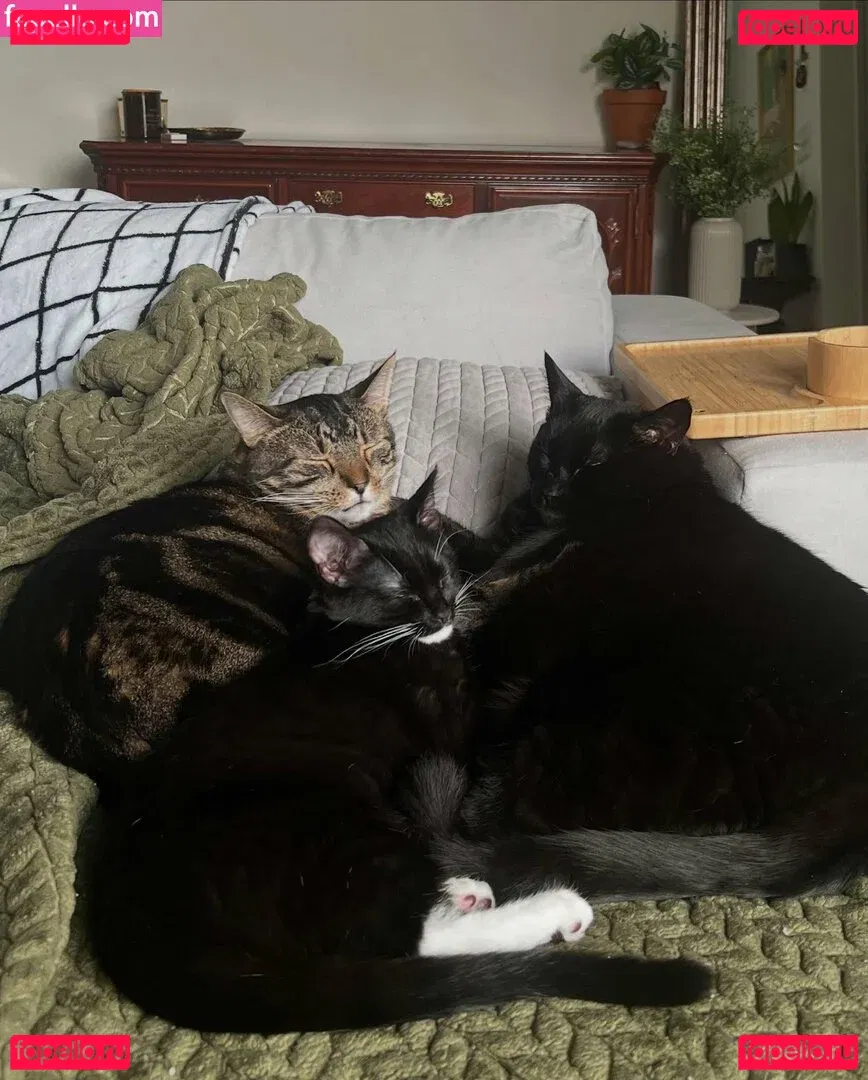 Novaleesi Onlyfans Photo Gallery 