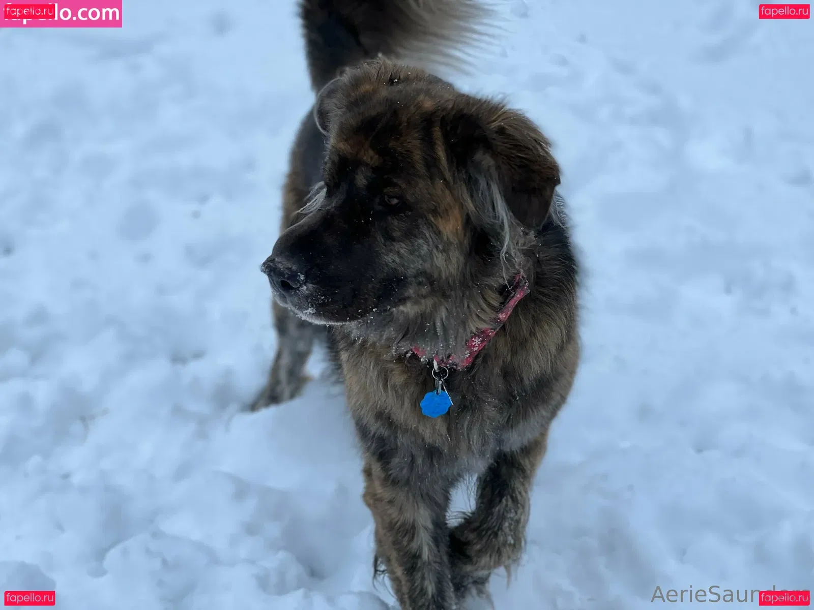 aeriesaunders Onlyfans Photo Gallery 