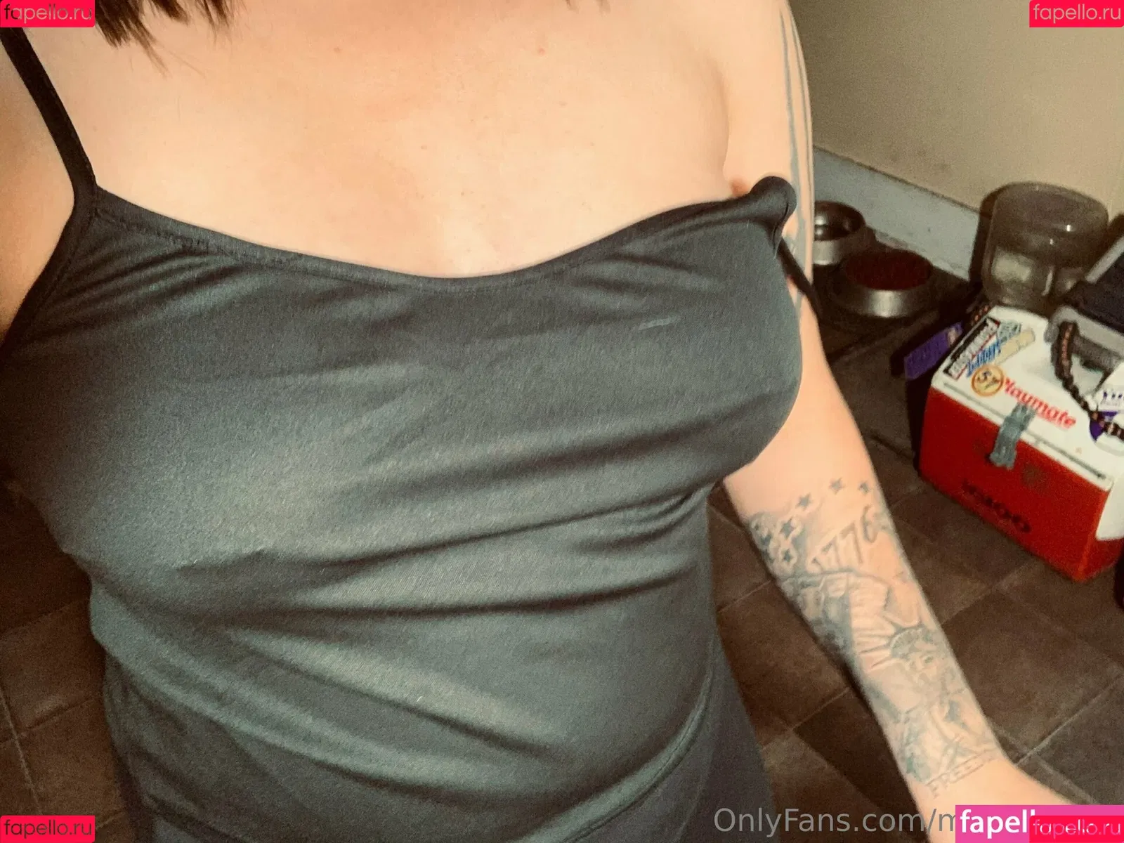 michellejojo Onlyfans Photo Gallery 
