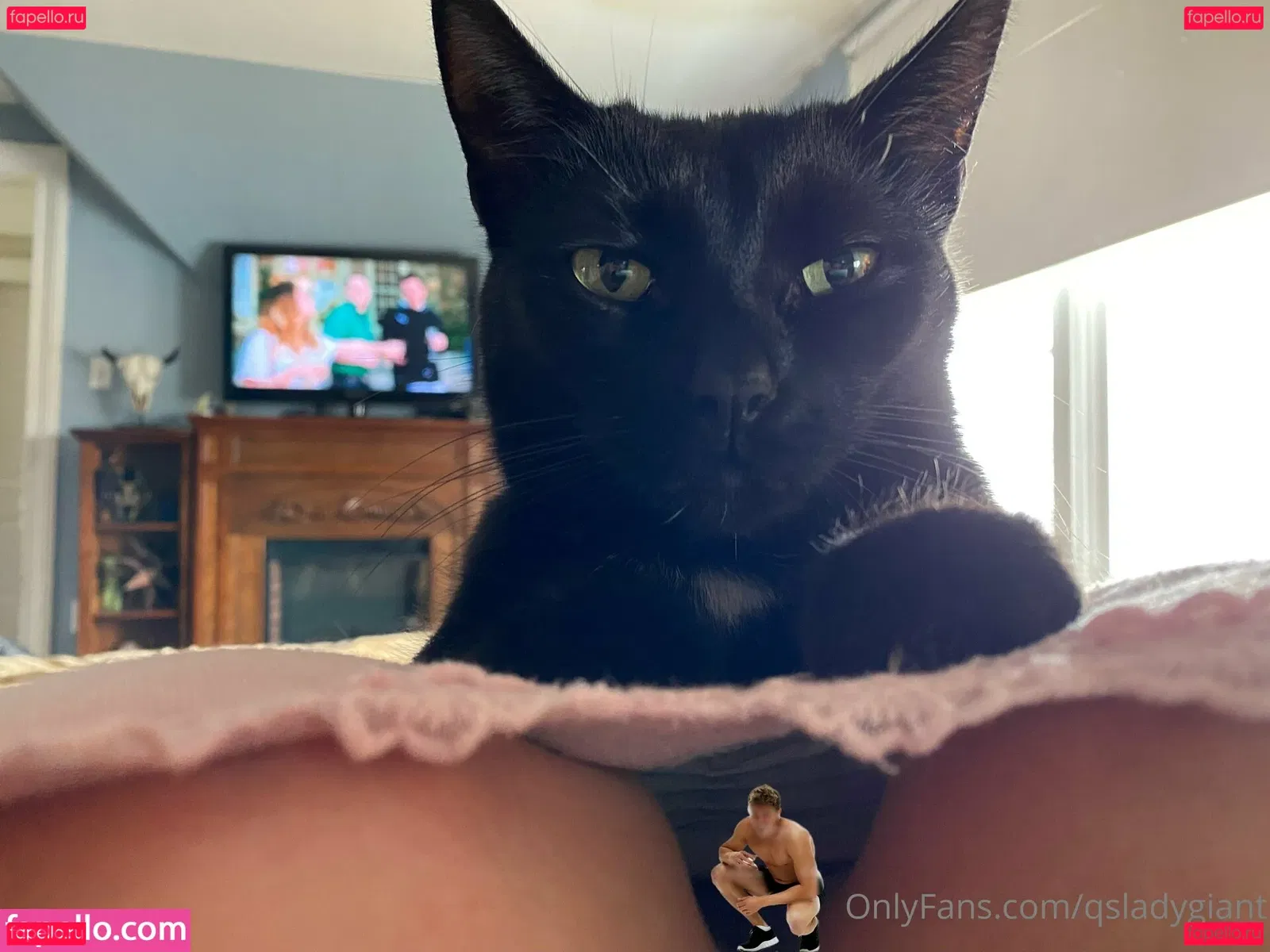 qsladygiant Onlyfans Photo Gallery 