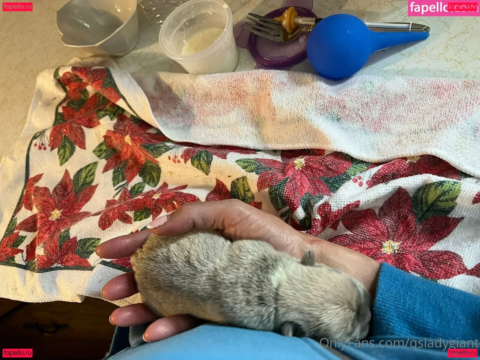 qsladygiant Onlyfans Photo Gallery 