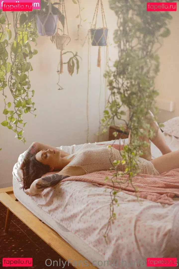 charlottesins Onlyfans Photo Gallery 