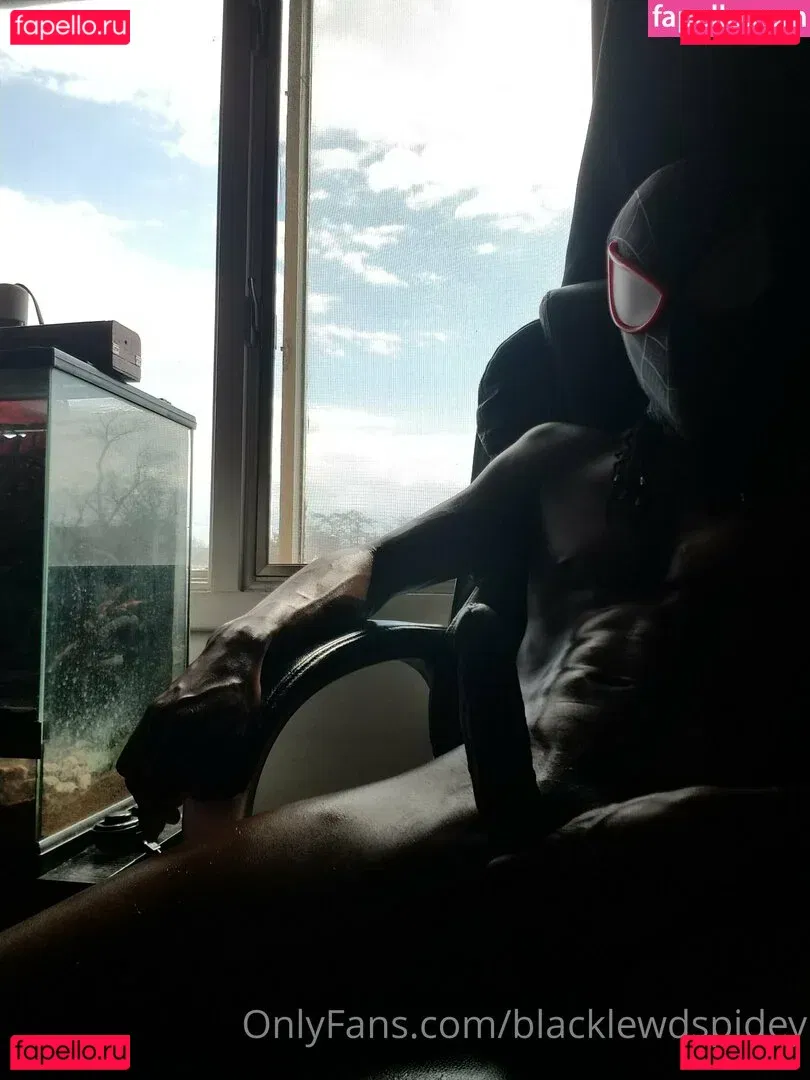 blacklewdspidey Onlyfans Photo Gallery 
