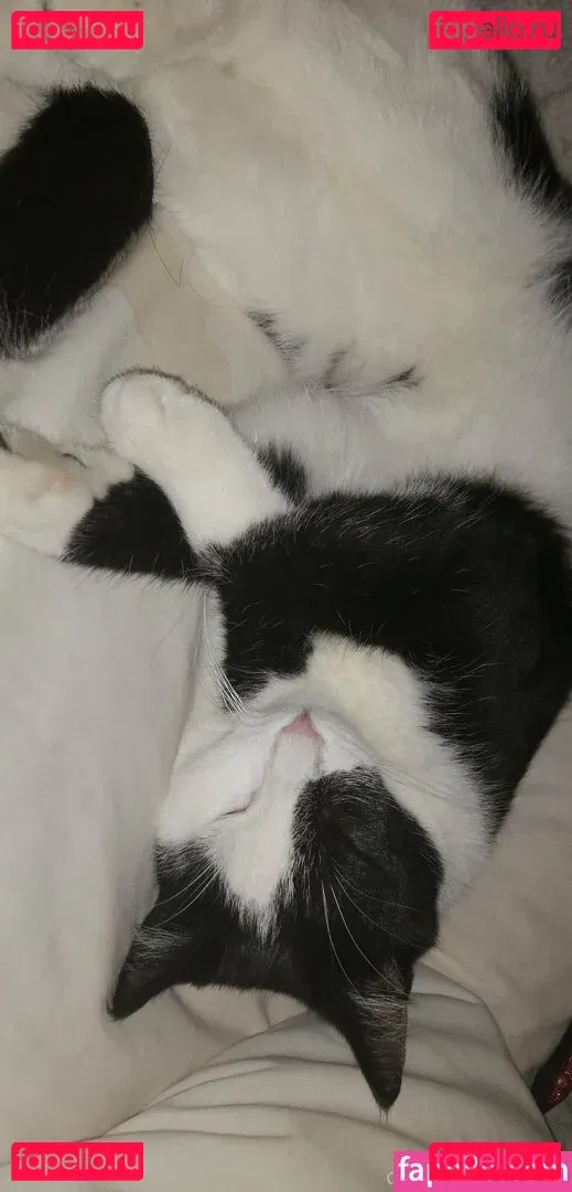 megfish Onlyfans Photo Gallery 