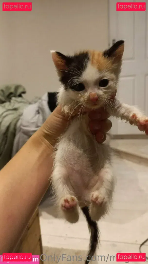 megfish Onlyfans Photo Gallery 