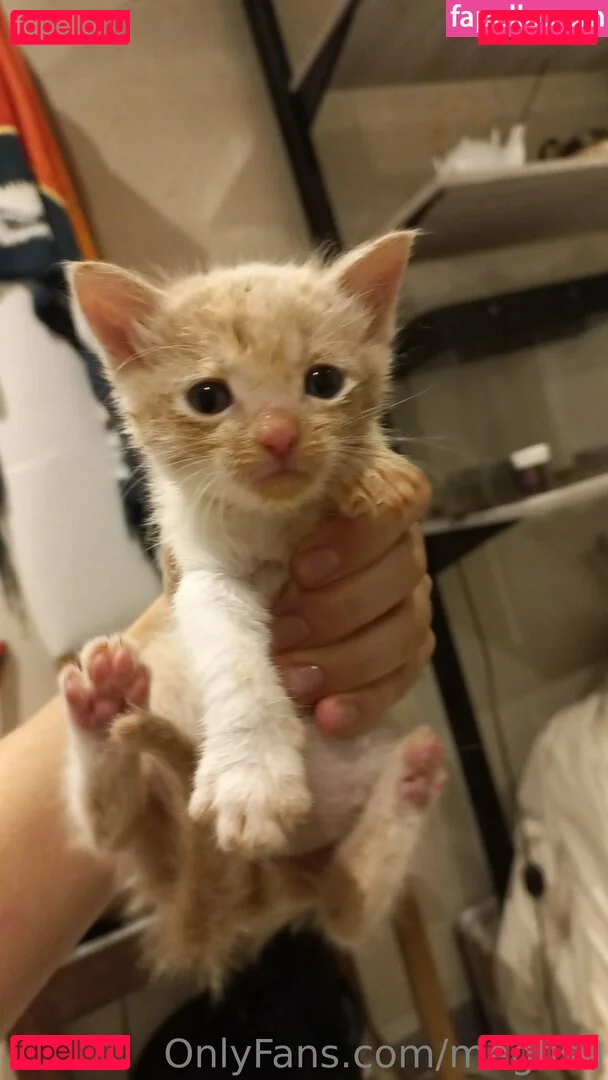 megfish Onlyfans Photo Gallery 