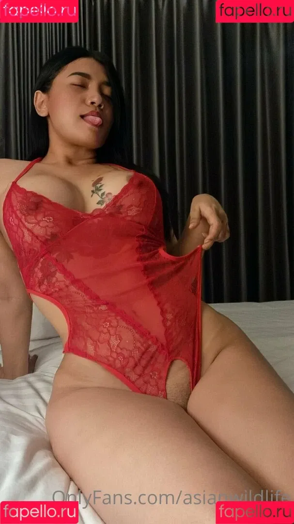 AsianWildLife Onlyfans Photo Gallery 