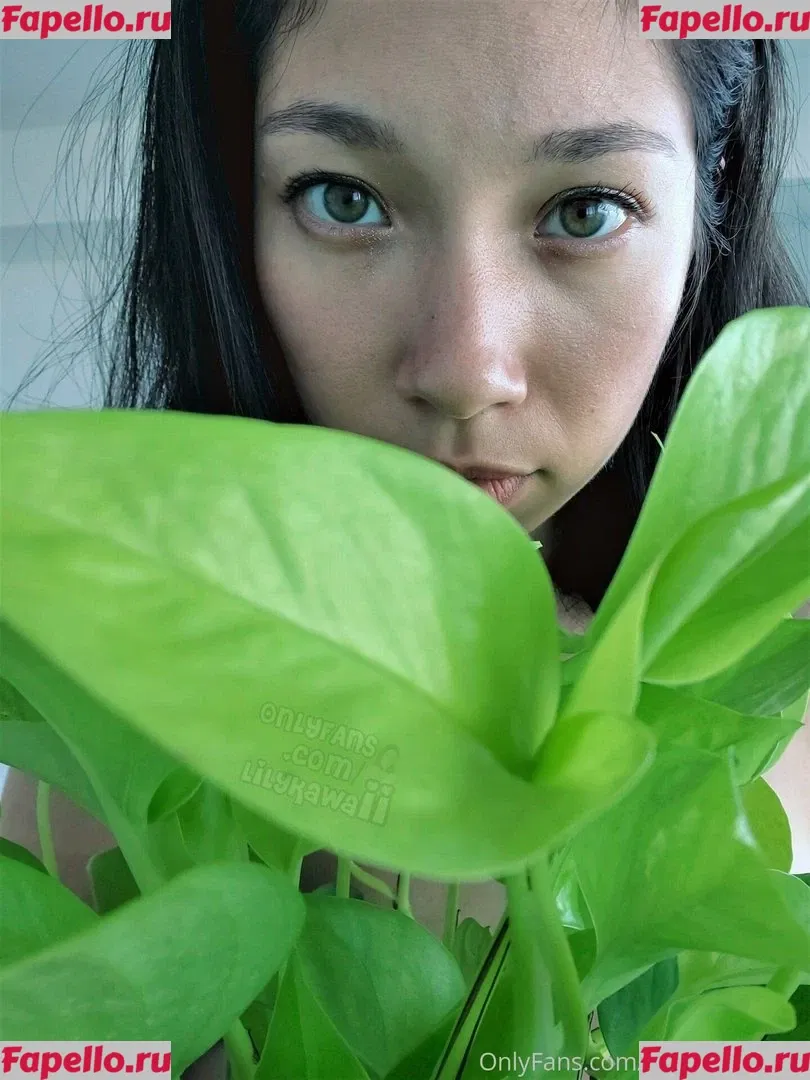Thisislilykawaii Onlyfans Photo Gallery 