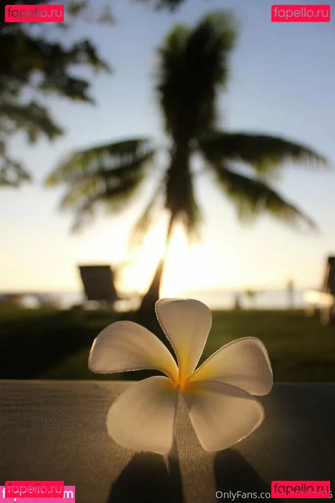 vaniljepus Onlyfans Photo Gallery 