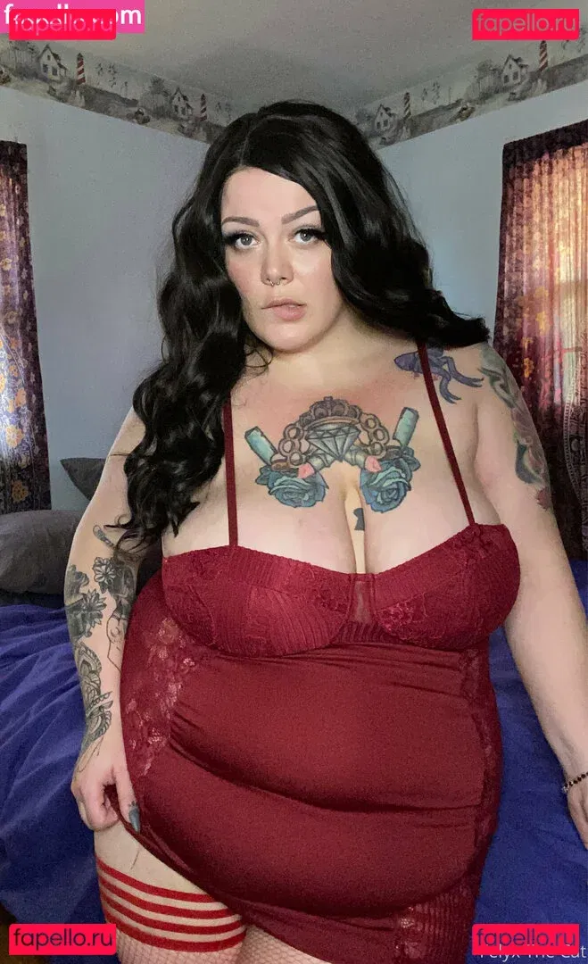 felyxthecat Onlyfans Photo Gallery 