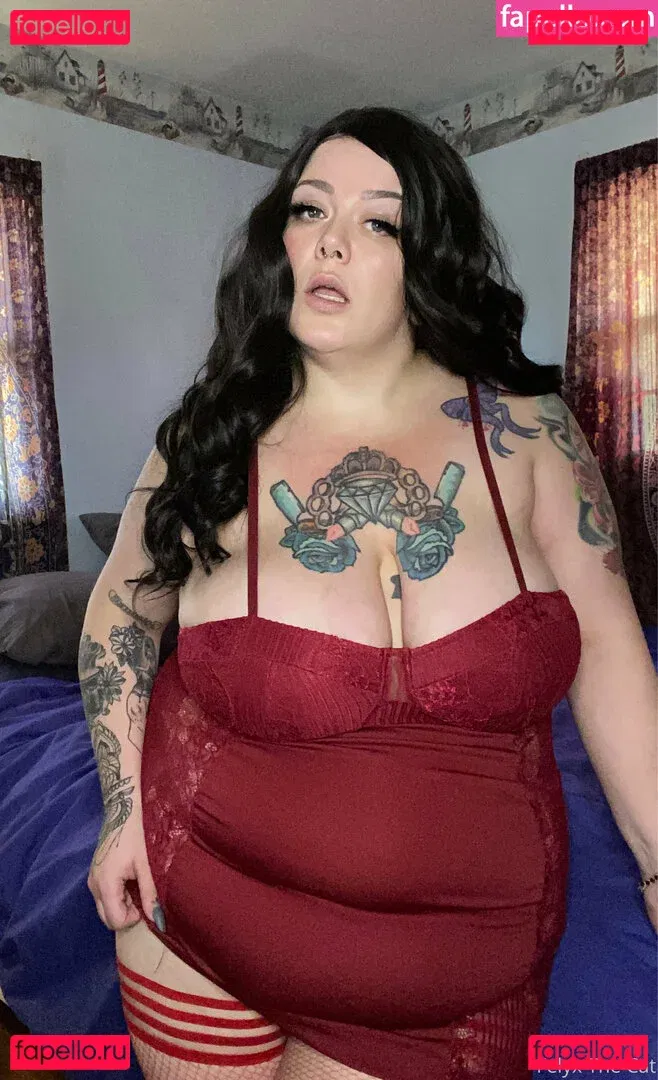 felyxthecat Onlyfans Photo Gallery 