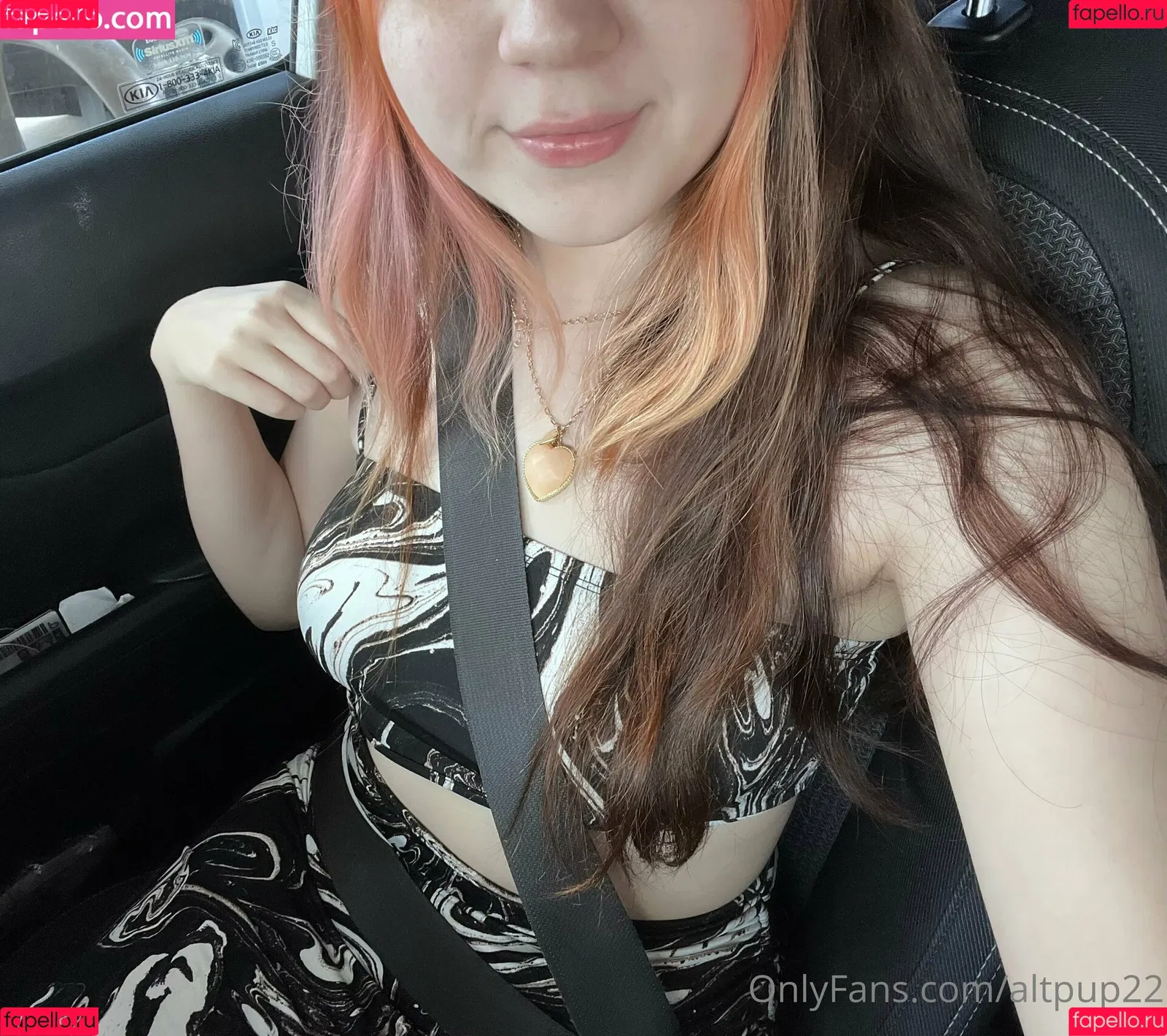 altpup22 Onlyfans Photo Gallery 