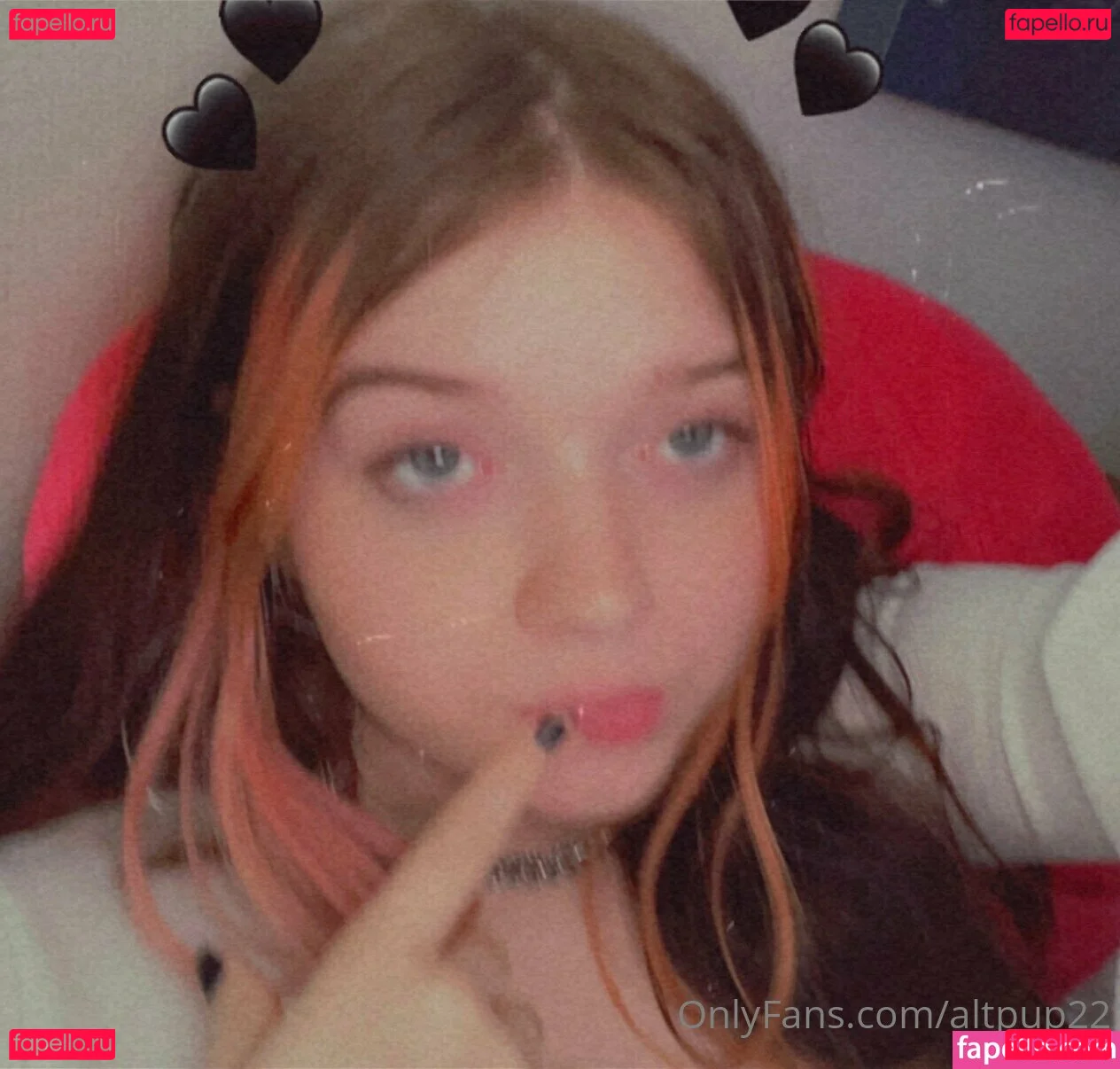 altpup22 Onlyfans Photo Gallery 