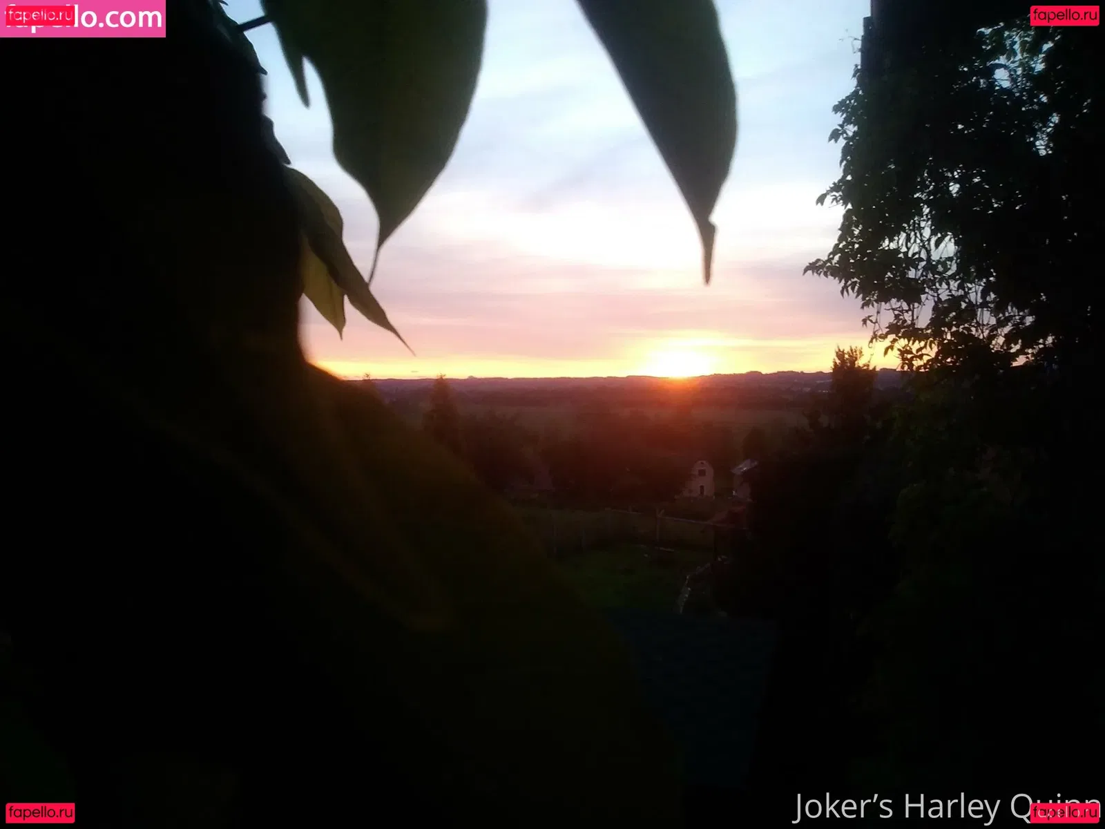 jokers-free Onlyfans Photo Gallery 