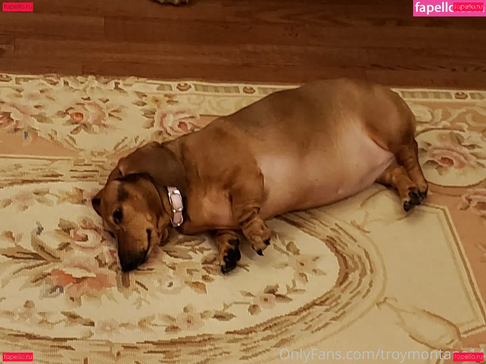 troymontana14 Onlyfans Photo Gallery 