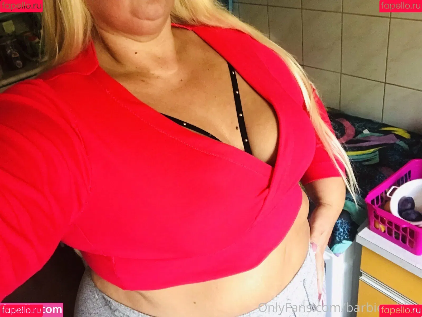 barbiessbbw Onlyfans Photo Gallery 