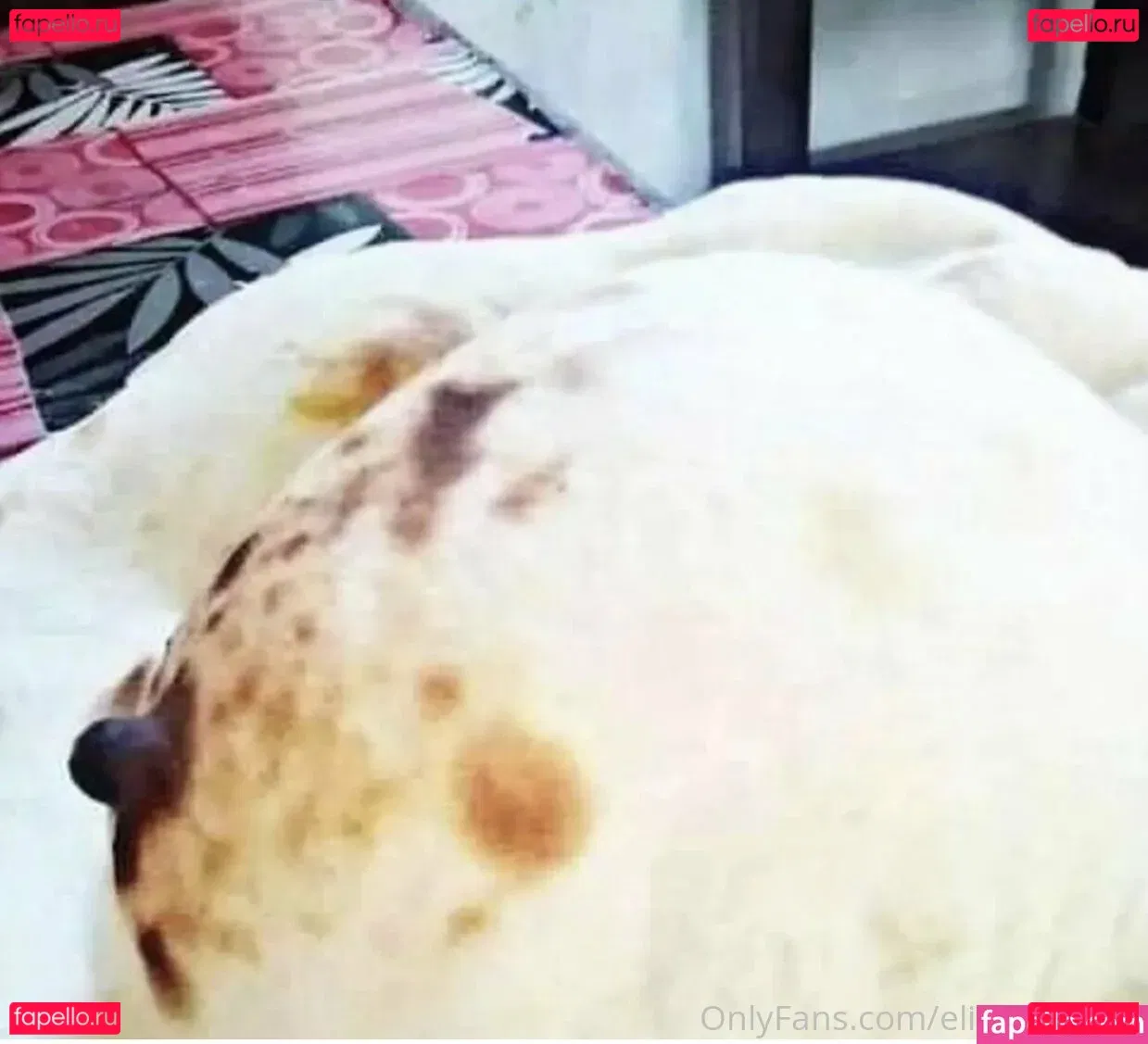 elitebbwplus Onlyfans Photo Gallery 