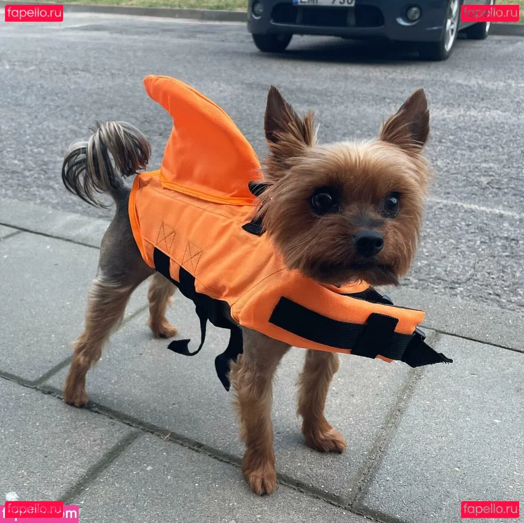 Agne Agnieska Onlyfans Photo Gallery 