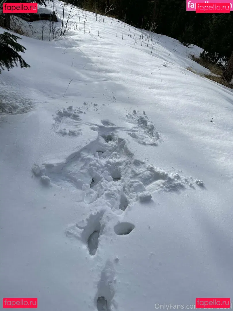 clairezeal Onlyfans Photo Gallery 