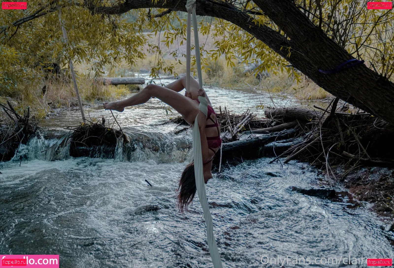 clairezeal Onlyfans Photo Gallery 