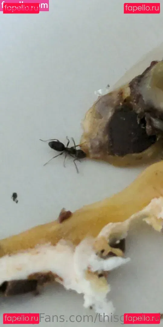 thisgoober Onlyfans Photo Gallery 