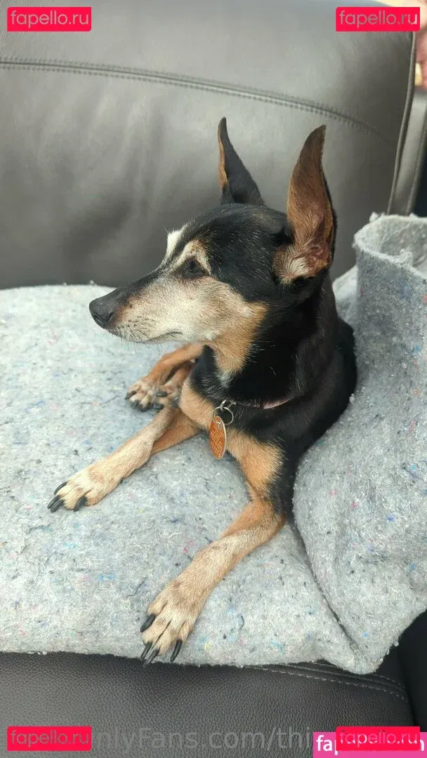 thisgoober Onlyfans Photo Gallery 