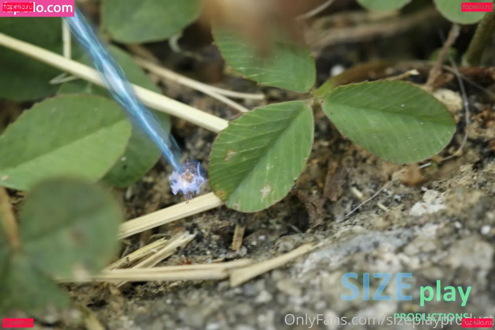 sizeplayproduct Onlyfans Photo Gallery 