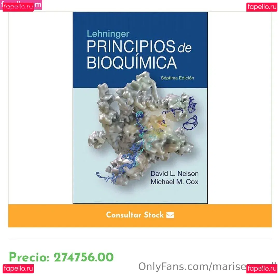 marisemwell Onlyfans Photo Gallery 