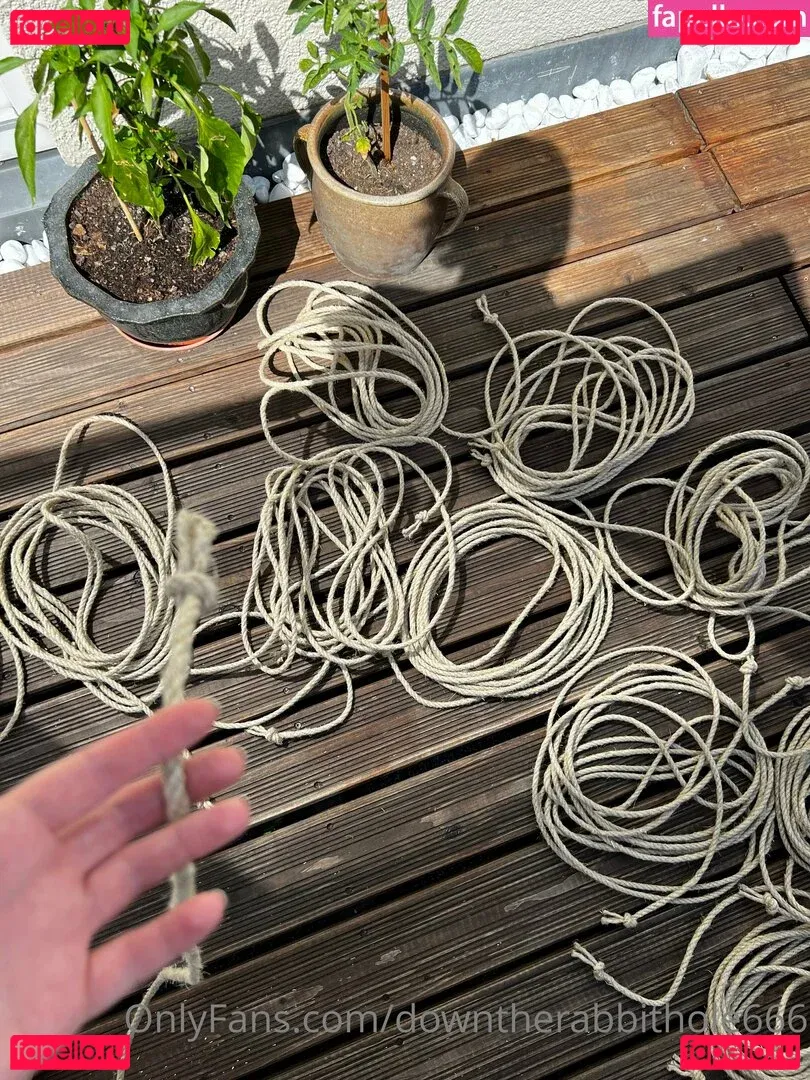 downtherabbithole666 Onlyfans Photo Gallery 