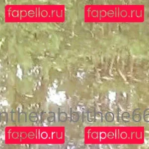 downtherabbithole666 Onlyfans Photo Gallery 