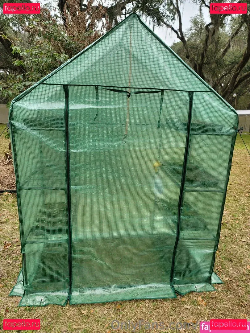 deealice Onlyfans Photo Gallery 