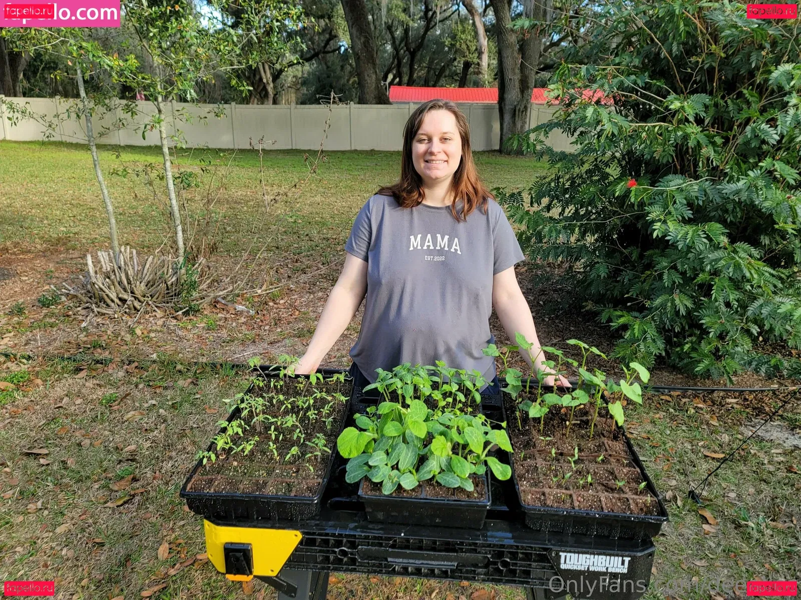 deealice Onlyfans Photo Gallery 