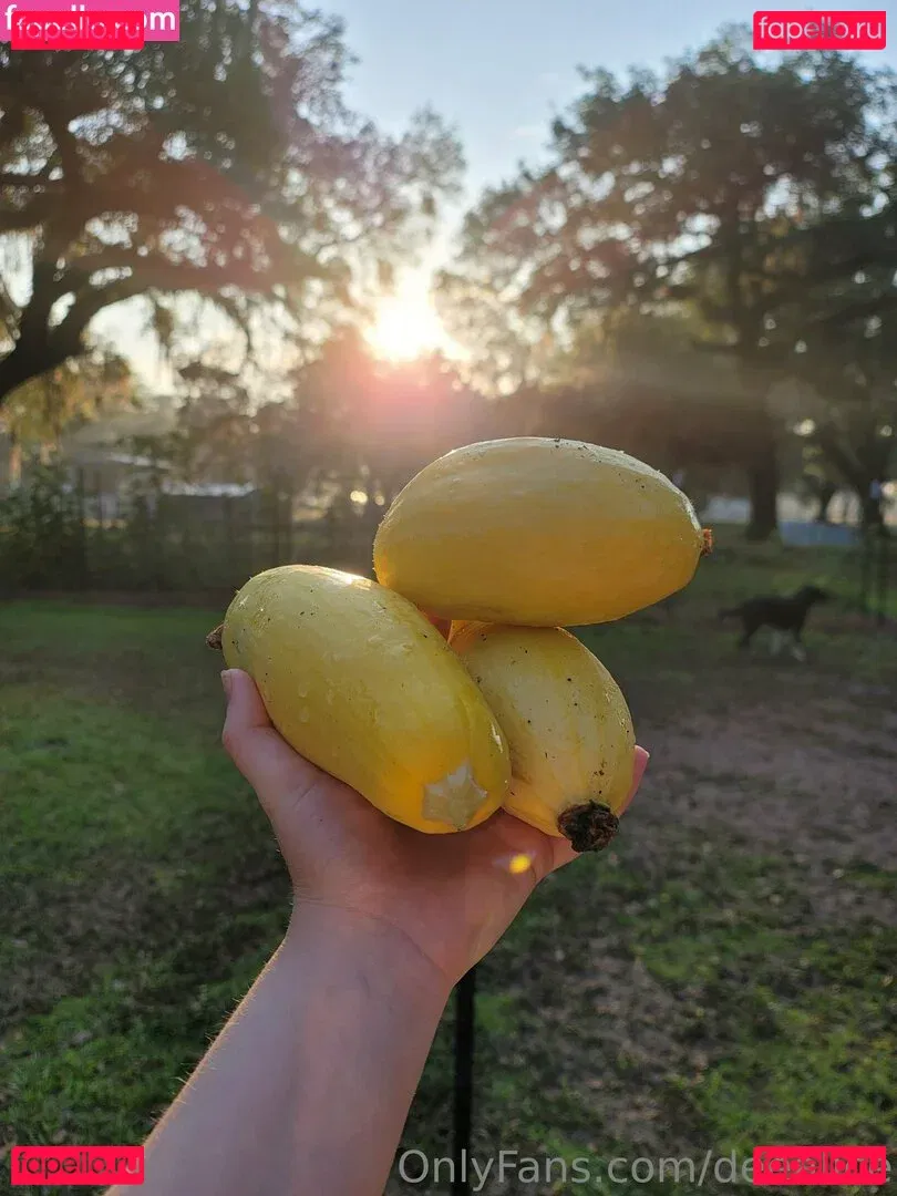 deealice Onlyfans Photo Gallery 