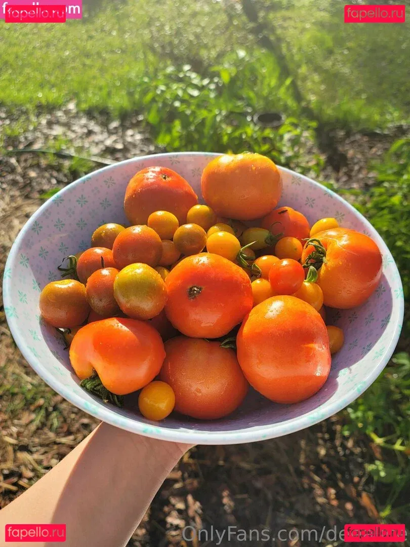 deealice Onlyfans Photo Gallery 