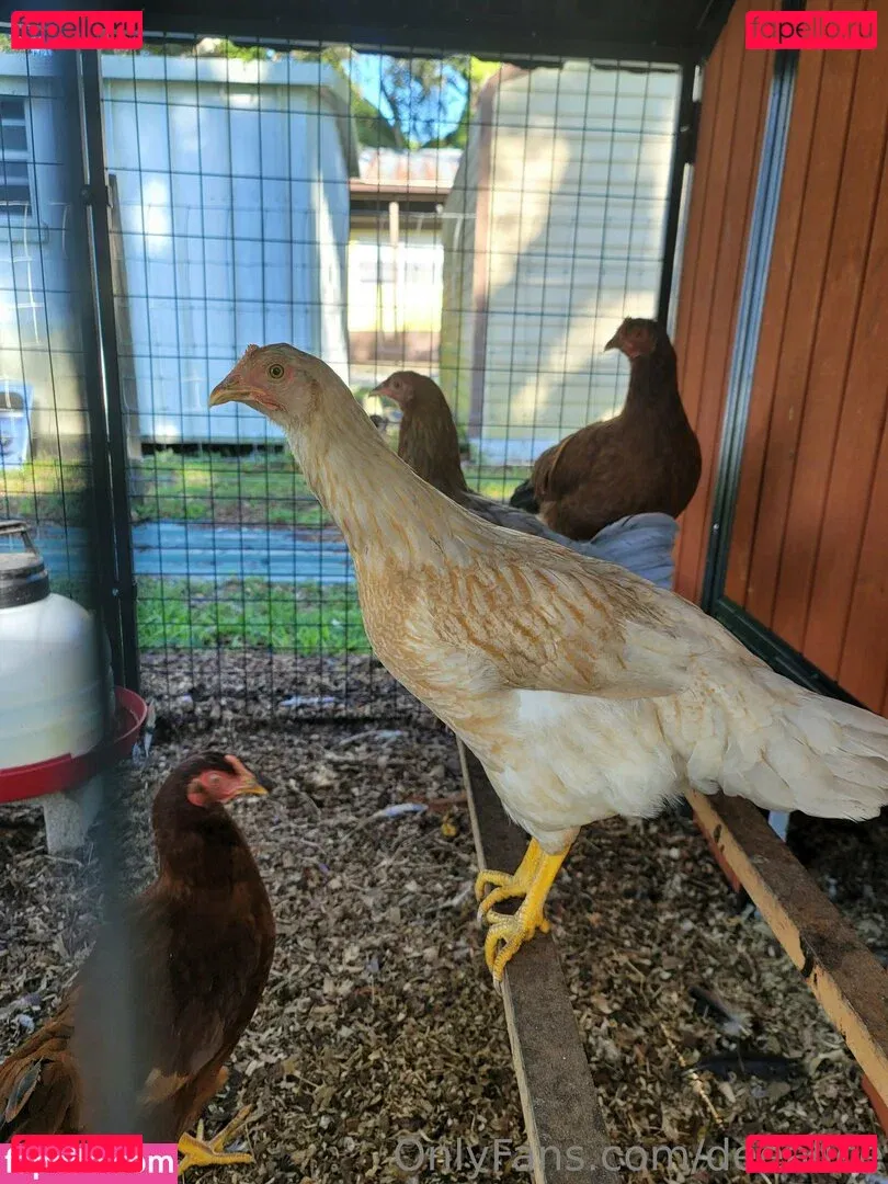 deealice Onlyfans Photo Gallery 